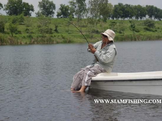 นั่งหัวเรืออัดปลาบึกขนาด30กว่ากิโลสบายๆ
ข้อมูลเพิ่มเติมครับ
http://www.siamfishing.com/board/view.