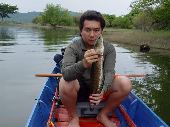 ตัวนี้แปดขีดกว่าครับ  :cool: :cool: :cool:





