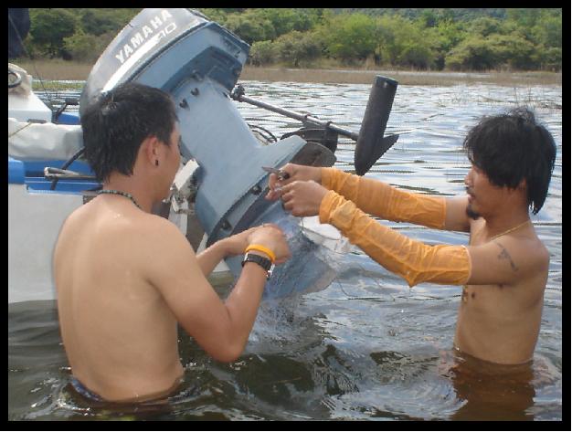         ส่วนภาพนี้ผมก็ได้รับรางวัลภาพแปลกครับ :smile: :smile:
ในช่วงบ่ายแก่ๆได้แล่นเรือผ่านไป  เลยเ