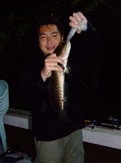         ช่วยด้วยปลากินถุงพลาสติก  :laughing: :laughing: :laughing:
