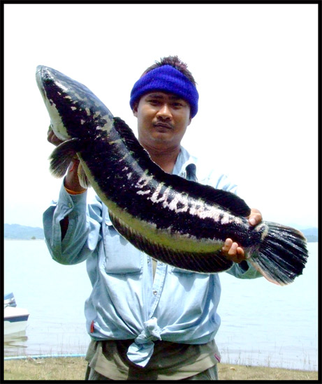  ยินดีกับน้าต้นด้วยครับ :cool: :cool: :cool: