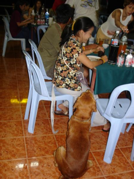 สนใจ ซะทีไหน คนใจร้ายย.... ควานช้าง อุ