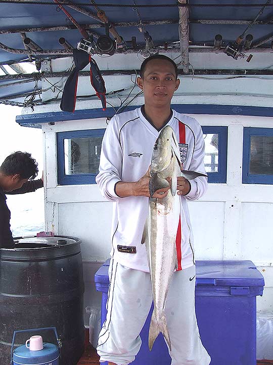 ตัวปิดทริปครับ ช่อนทะเลเข้ากินเหยื