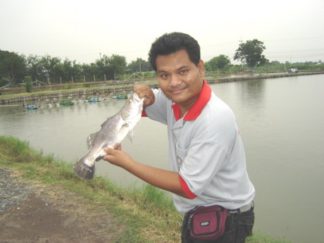 น้ามาด---วันนี้ไม่แห้ว แล้ววุ้ย....วะ ฮ่า ๆ ๆ ๆ..
               (หัวเราะ แบบน้องม่อน)
น้าโต๊ด---น