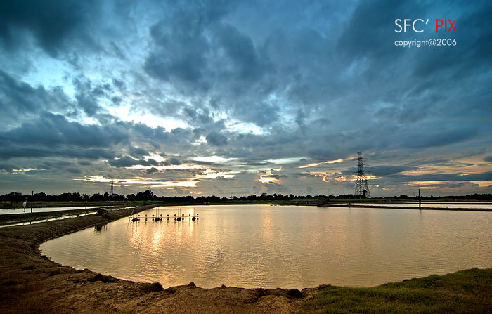 ภาพสุดท้ายของบ่อ ก่อนพระอาทิตย์จะลับขอบฟ้าครับ บรรยากาศวันนี้ดีมากเลยครับ ไม่มีฝน ฟ้าเปิด เมฆสวย เหม