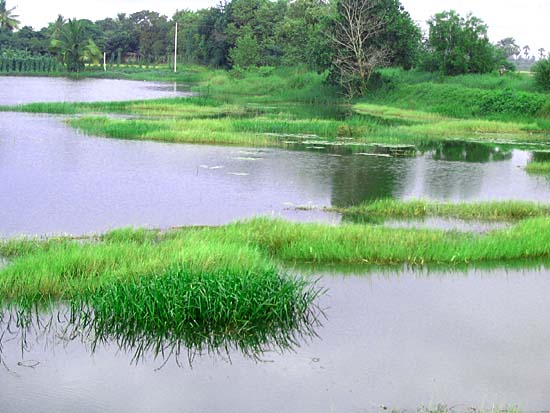 บางเลน-อยุธยา