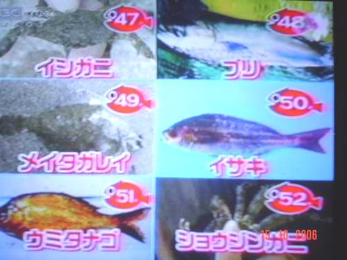  :blush: :love: สรุปแบบรวดเร็วตอนนี้ชิราฮาตะได้ไป 52 ชนิดปลา ชนิดสัตว์ทะเลแล้วค่ะ  :love: :cheer: :c
