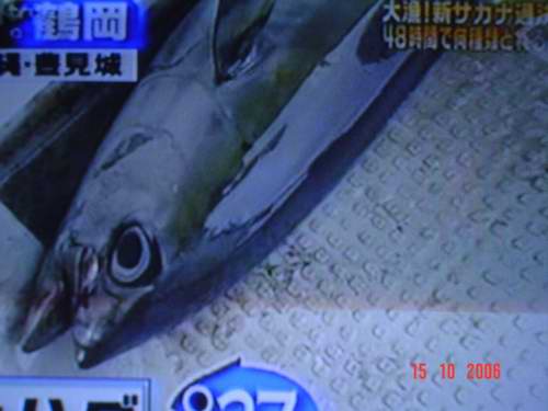  :love: :umh: เทพีแห่งโชคและท้องทะเลยังอาทรต่อคุณซูรุโอกะอยู่  จากนั้นก็ได้ขึ้นมาอีก  เจ้านี่ ปลามาก