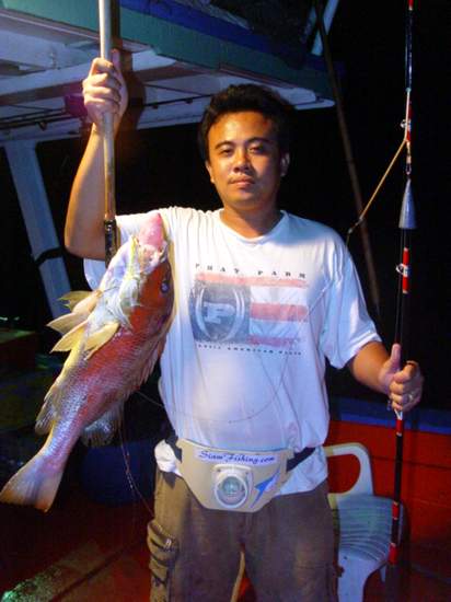 ปลาสายทุกสายที่ถูกอัดขึ้นมาเป็นอั�
