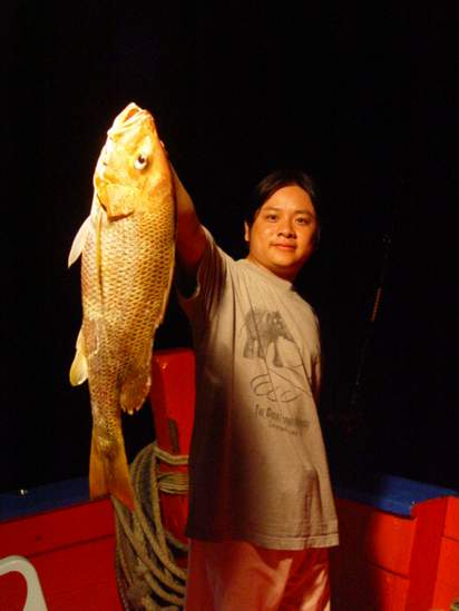 ใกล้เช้าอั่งเกยที่ฉวยไซต์เริ่มใหญ�