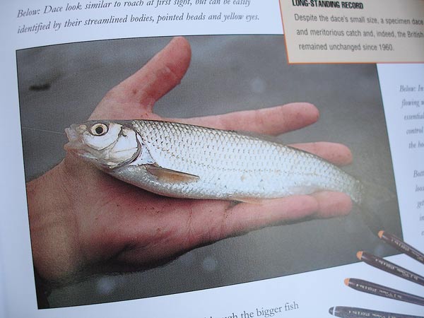 ชนิดของปลาต่างๆ มากมาย :blush:
