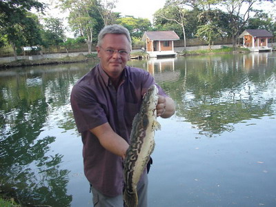 ไปมาแล้ว ไม่ได้ตัวอ่ะนะ
ขว้างใส่ peacock bass ก็โดนแย็บๆ ไป 2 ที
ให้พอแค้นใจ แต่ Mr. Reiner โชว์แอ