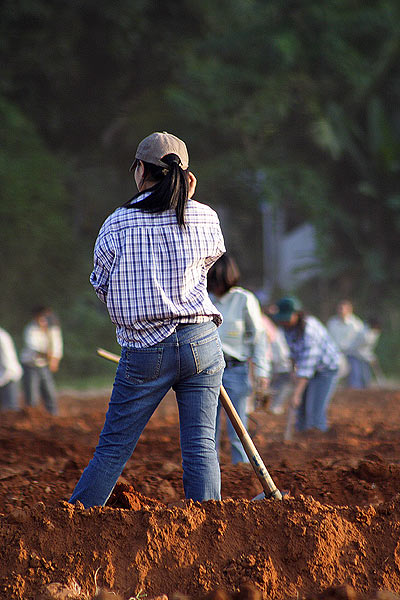 โดดๆ ภาพสุดท้ายครับ 

75-300mm + PhotoShop7.0 

ชอบไม่ชอบอย่างไรแนะนำด้วยครับ :smile: