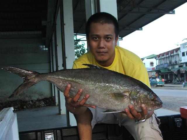 เอาตัวนี้ไปเผา น่าจะอร่อย  :umh: