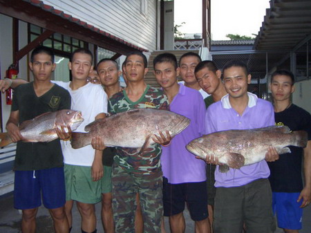 บรรดาลูกน้องมารอรับ  ไม่เคยเห็น  ขอถ่ายรูปหน่อย

ลาภปากอีกแล้ว .. พรุ่งนี้ มื้อเย็น

พวกไปทอดกะถ