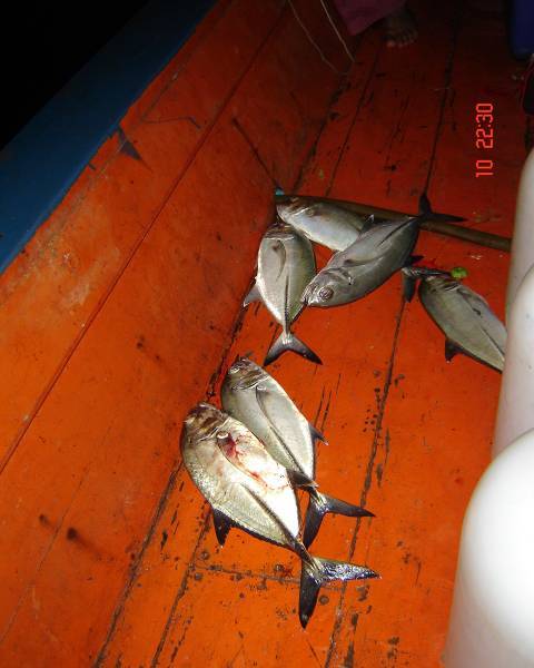 ผลงานบางส่วนครับ ทั้ง Jig  Popper รวมทั้งต