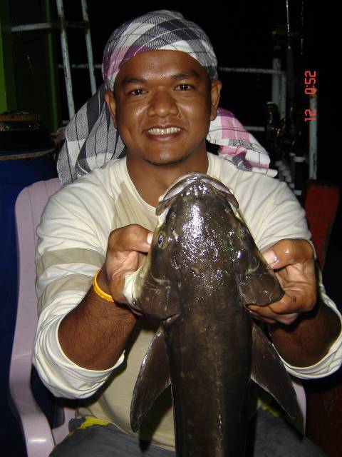 ตัวนี้โทรฟี่ของผมครับ Cobia