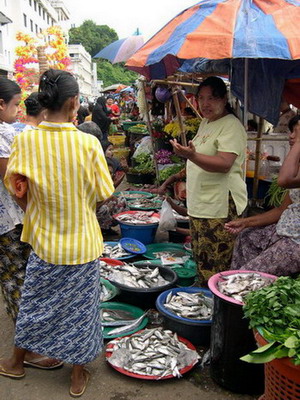  เราชาวพม่าไม่กินปลาใหญ่....ปลาใหญ่จะได้มีให้พวกท่านตกไง..ช่วยเหมาหน่อย.... :smile:
 :smile: