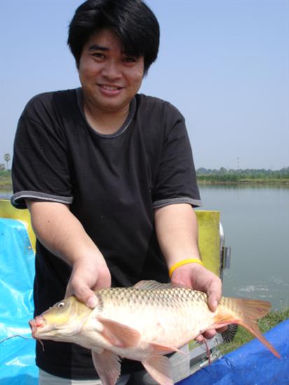 คนกับปลา บวมฉุ... ไม่ต่างกัน.. :laughing: :laughing: