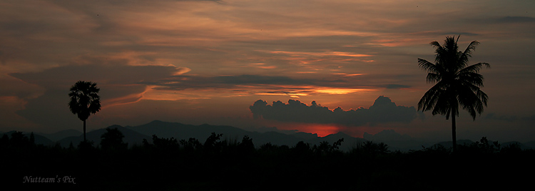 รูปสุดท้ายแล้วครับ อย่าสงสัยกันเลยว่าทำไมผมถ่ายรูปทุกวัน อยู่ต่างจังหวัดครับ ไปไหนมาไหนแป๊บเดียวเอง 