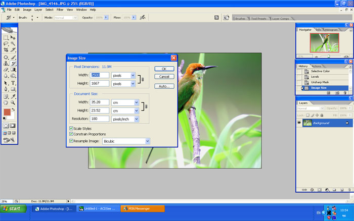 หลังจากนั้น ลดขนาด pixel ของภาพทีล่ะ 500 pixel เลยน่ะครับ  :grin: