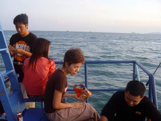 มุมทางท้ายเรือก็ช่วยกันโสก ช่วยกันปลดปลาเหยื่อครับ  :laughing: :laughing: :laughing:




