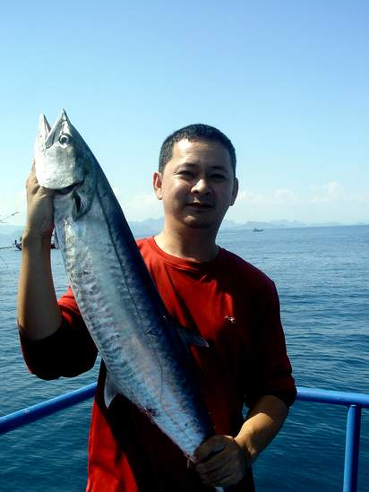 เนื่องจากเป็นปลาฝูง แต่ละตัวจึงมีขนาดใกล้เคียงกันคือ 4-6 โลครับ  :smile: :smile: