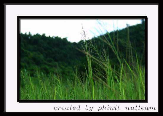 http://www.siamfishing.com/board/view.php?tid=18844&begin=0

ถ้าลองย้อนไปดูกระทู้เก่าๆ ของน้าพินิจ