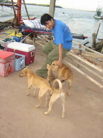 น้ามาด มัวแต่ไปดู ลุง ป้า ล่าสลิดหินน้อย....
หันกลับมา....เจอนังเก่ง โดนน้องม๋า รุมซะแระ.....
เชื่