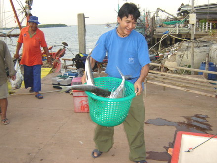 น้าเค้าเอาปลาขึ้นเรือ ก้อไปช่วยเค้ายกด้วย...ดีเจงๆ น้าเก่ง
 :smile: :smile: :smile:
สอบถาม พี่เค้า
