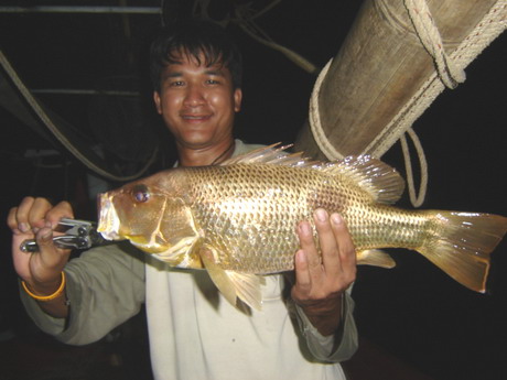 นังเก่ง ยังได้อังเกยมาเพิ่มอีก แหม