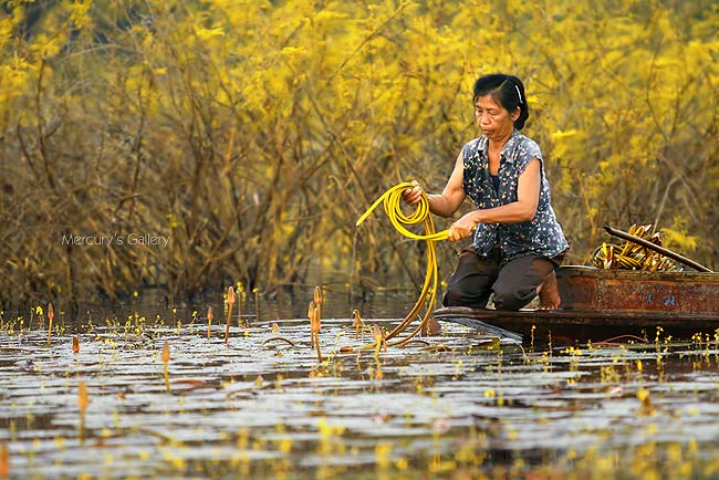 ลองดูซักรูปครับ  ไม่รู้ว่าใช้ได้หร