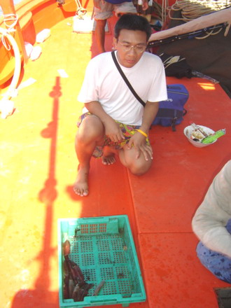 ถึงฝั่ง หมึกเป็น ก้อยังเหลือ ช้อนกลับบ้าน..
สมทบโครงการ ปลาทะเลไทยสู่พี่น้องทางบ้าน
เหลือประมาณ สิ