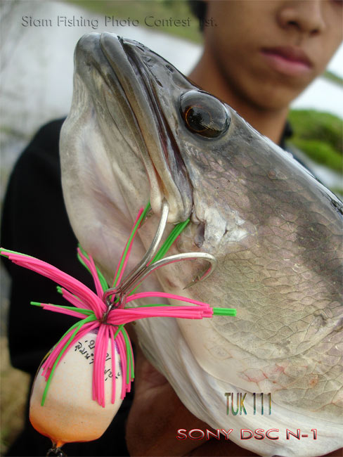 แนวนี้พอได้ไหม ภาพจากคอมแพ๊คดิจิตอลครับ  :laughing: :laughing: :laughing: