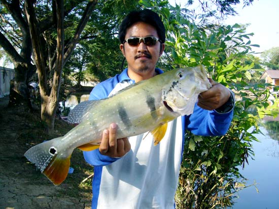 ++ รวมภาพ Dream Lake Fishing +++