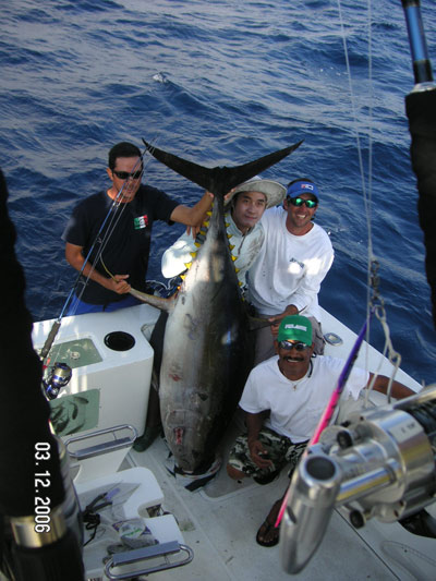  ขึ้นมาแล้วครับเป็น yellowfin tuna น้ำหนัก 300 กว่าปอนด์  ถ่ายรูปร่วมกับทีมงานเรือ top gun ครับ... :