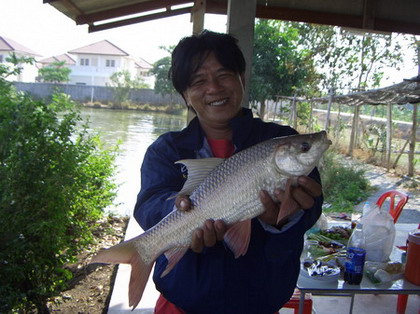 เป็นยี่สก ของนายหนังเชษฐ์