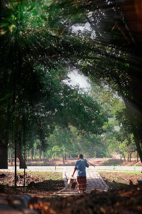 ชื่อภาพ  คุณยาย.... มือเก๋า

กล้อง : canono EOS  20D 
Speed :  40
Fnumber : 6.3
ISO : 100
Foca