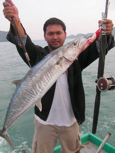 หลังพายุสงบที่หมู่เกาะอ่างทอง