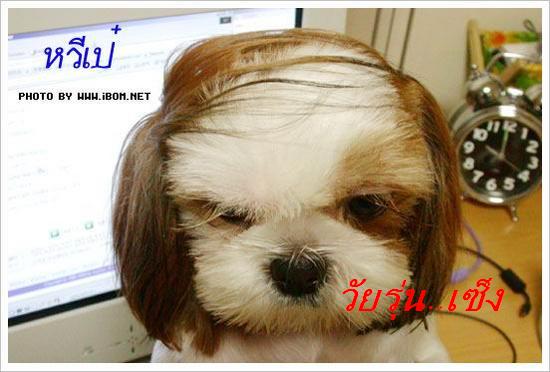  :laughing: :laughing: :laughing: