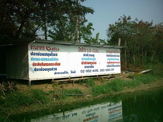 ไปส่งหลานที่เดอะมอลล์เลยแว่บไปช.ช้างจ้า
