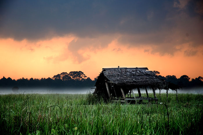 มีภาพท้องนา อีกบรรยากาศมาฝากครับ