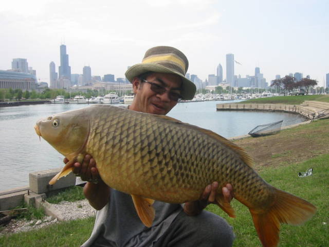 chicago fishing trip..