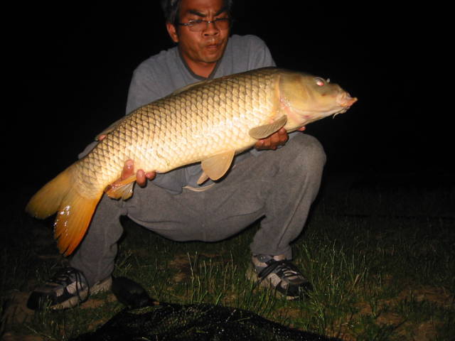 a nice long carp.. 