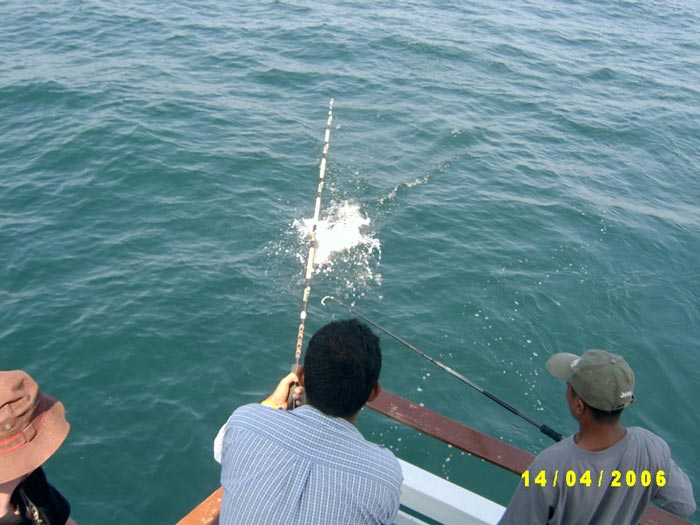 เมื่อเอกสารทุกอย่างเรียบร้อย เรือโ