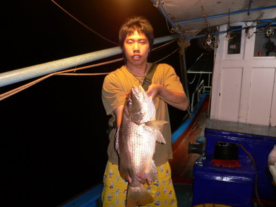 ส่วนหนึ่งของอังเกยที่ผมเอาขึ้นมาครับ