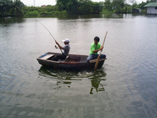 ไต๋เทพต้องรีบเอาเรือเข้าฝั่งแบบทุลักทุเล  แบบไต๋พาย  ปลาดึง  ชักกระเย่อกันตั้งนานกว่าจะเอาเรือเข้ามา