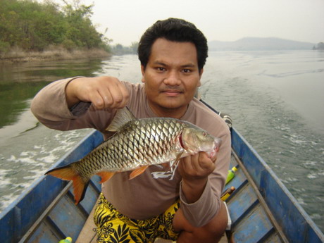 ไล่ฝูงกระสูบน้ำเดือด....
ไล่ไปไล่มา ไ