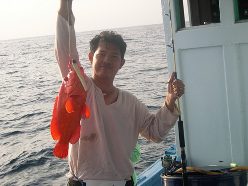 สมชื่อจิงๆ..
นี่ไงที่มา...เอปลาแดง..  :cheer: :cheer: :cheer: :smile: