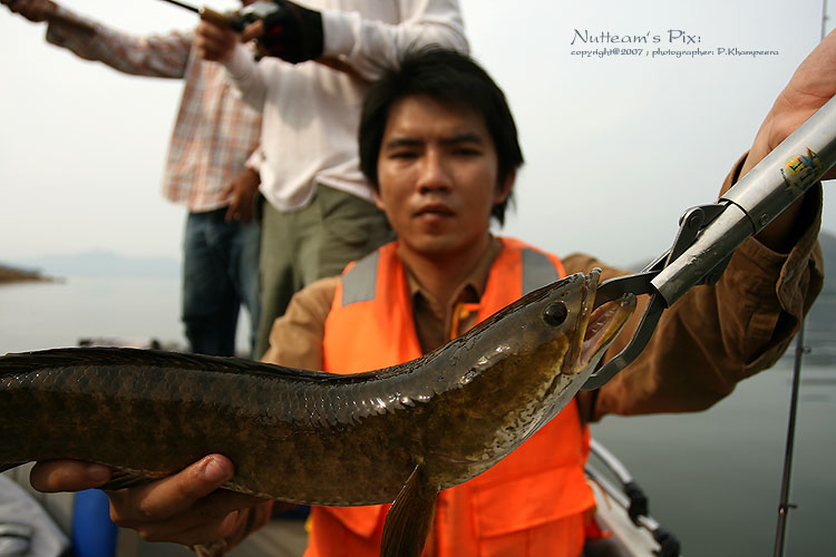 โลกว่าๆครับตัวนี้ เก็บตามระเบียบ :grin